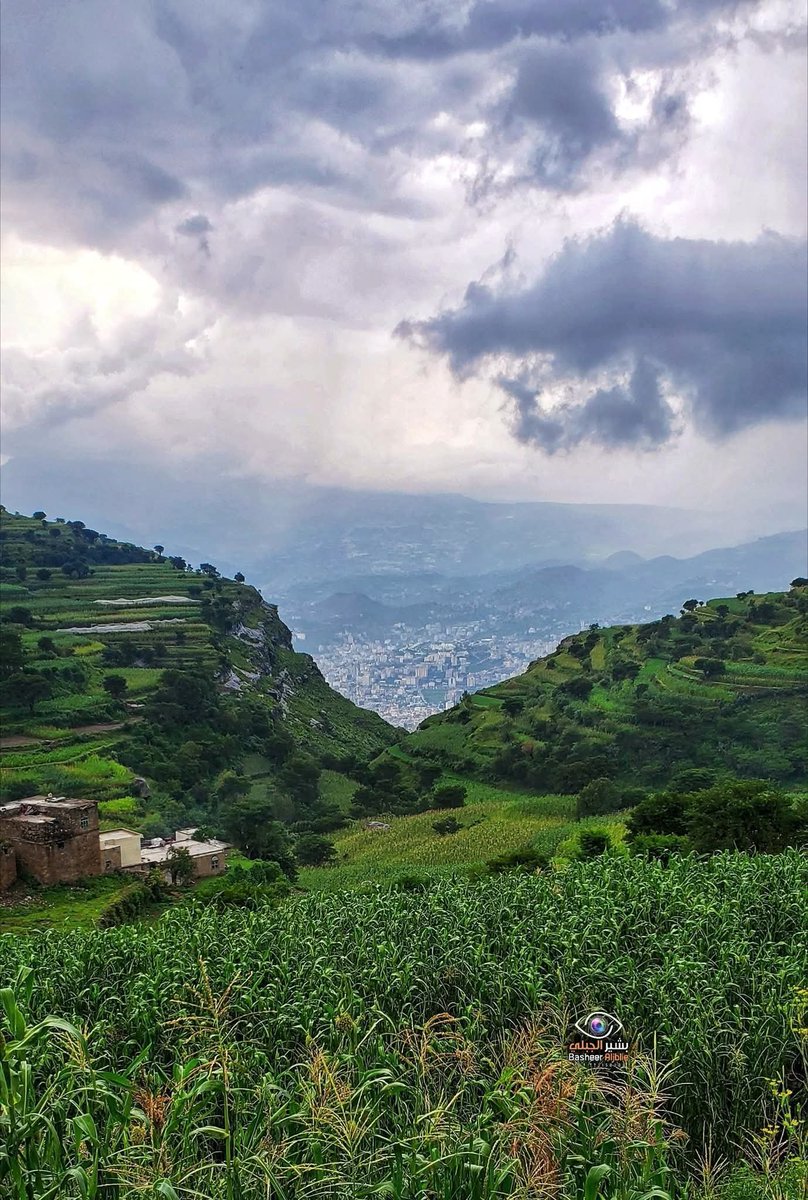 م. عبدالمعين البعداني✒ tweet media