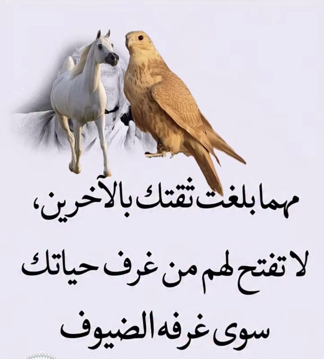 صباح الخ ـير 🌹🌹