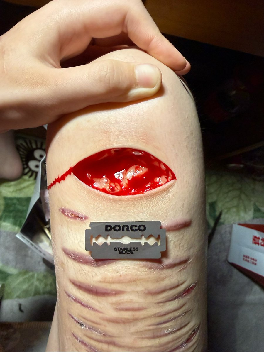 cold fish tweet media