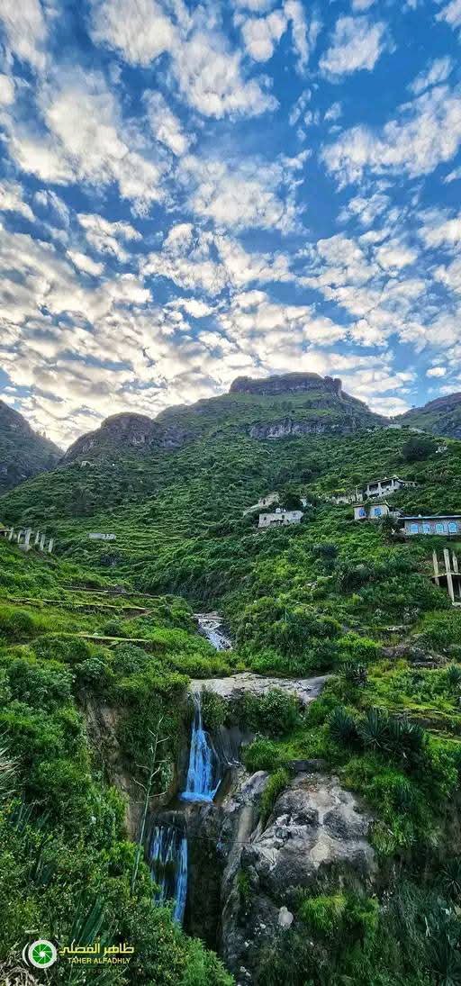 م. عبدالمعين البعداني✒ tweet media