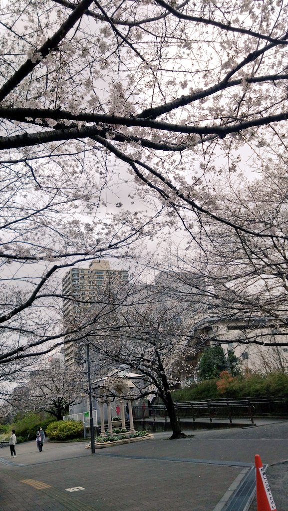 ふぁびび2🌸 tweet media