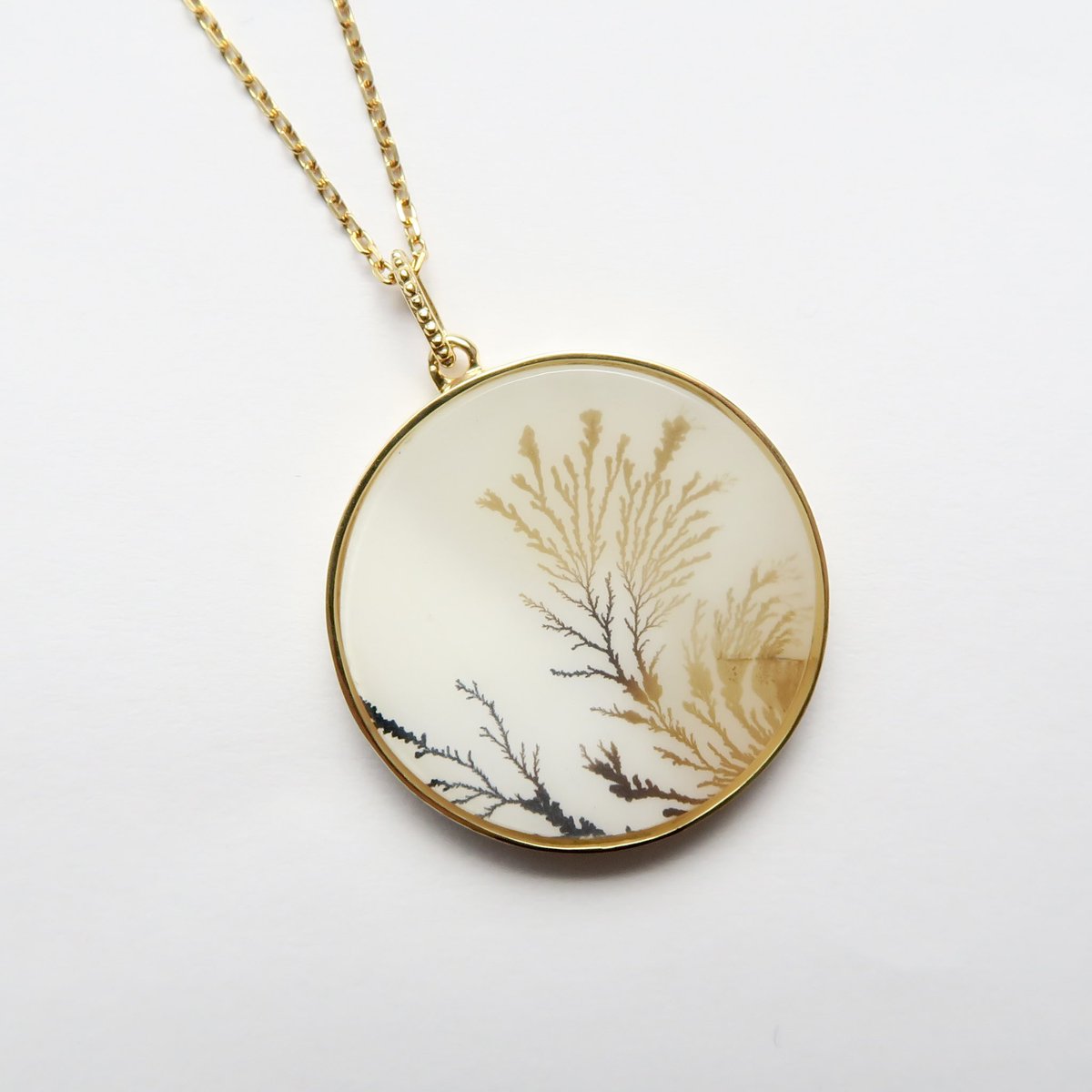 有限会社フリージア tweet media