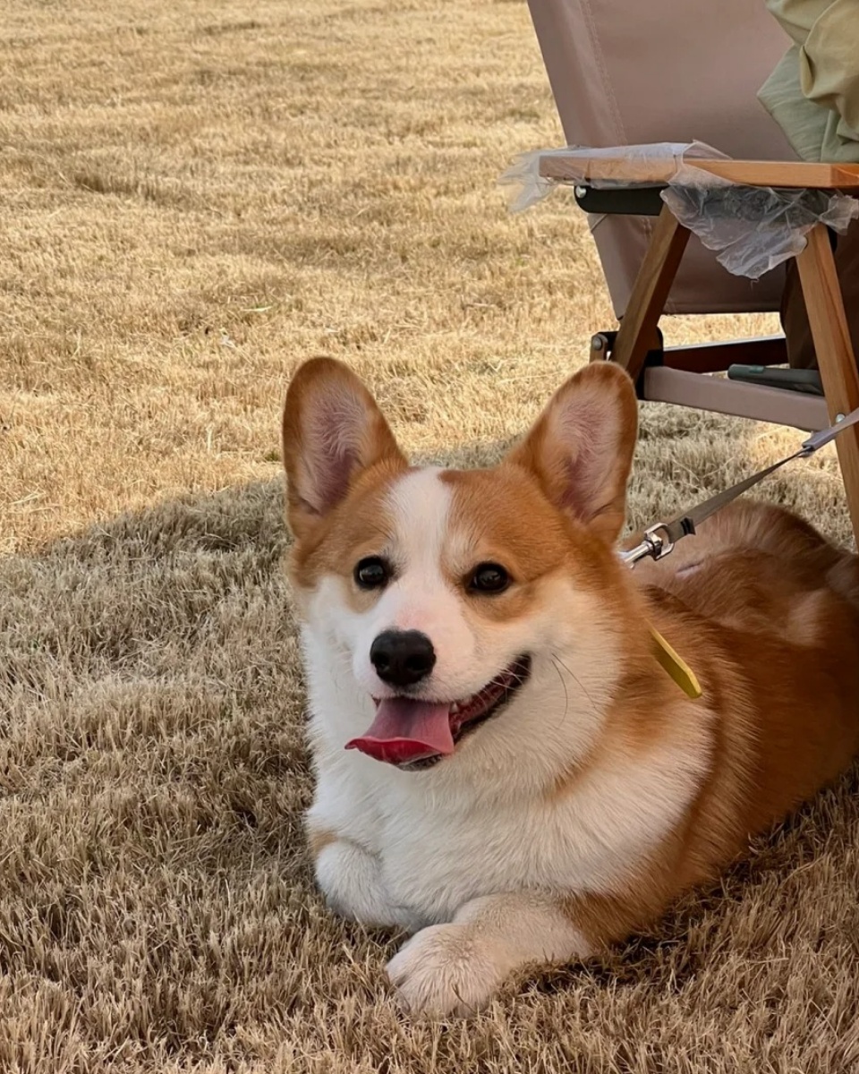 Mr.Latte tweet media