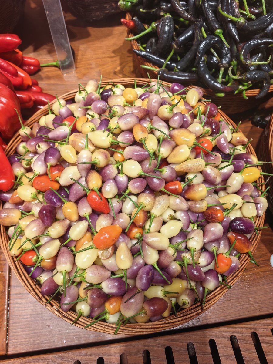 luweixing💯（互fo） tweet media