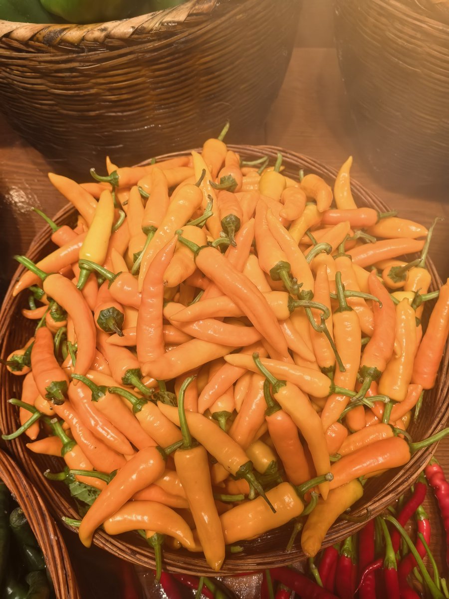 luweixing💯（互fo） tweet media