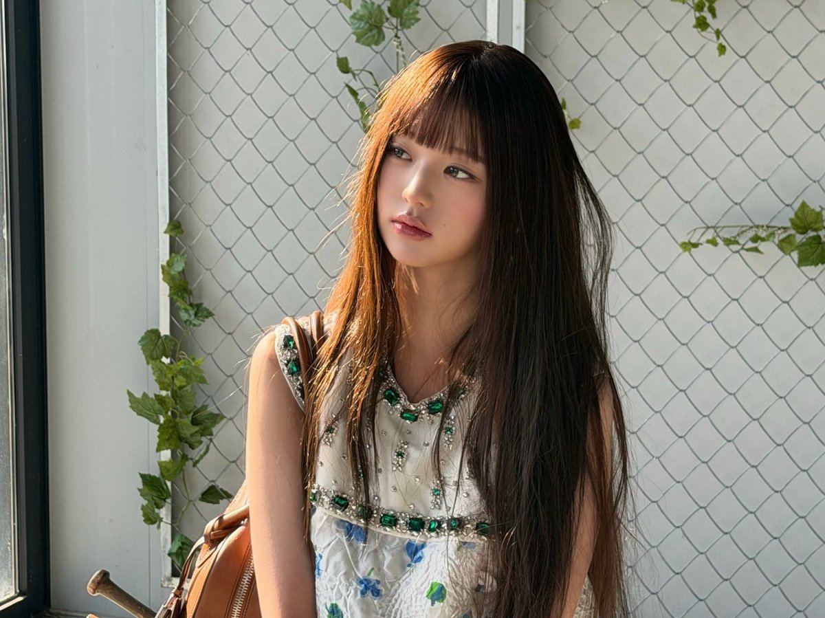 ᥫ᭡ 🪽 tweet media