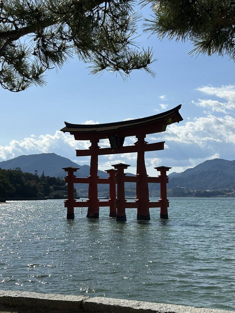 ムッチ tweet media