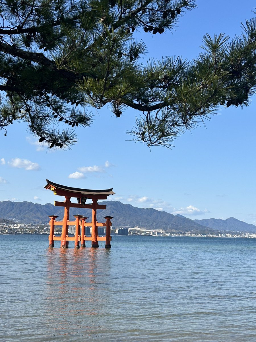 ムッチ tweet media