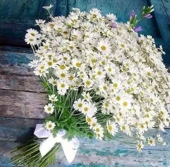 معزوفه ؛ 🎼 tweet media