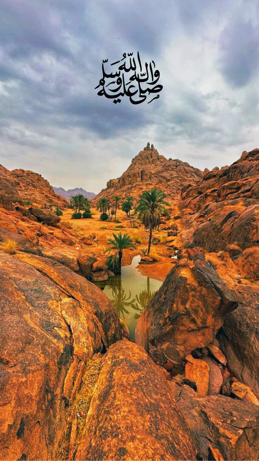 ‏☆خالد kalid السنجاري الشمرى☆‏🇸🇦‏☆💫حائل💫☆ tweet media