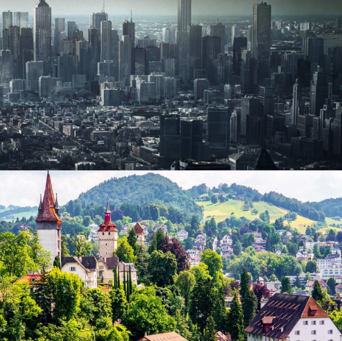 Lozzy B 🇦🇺𝕏 tweet media