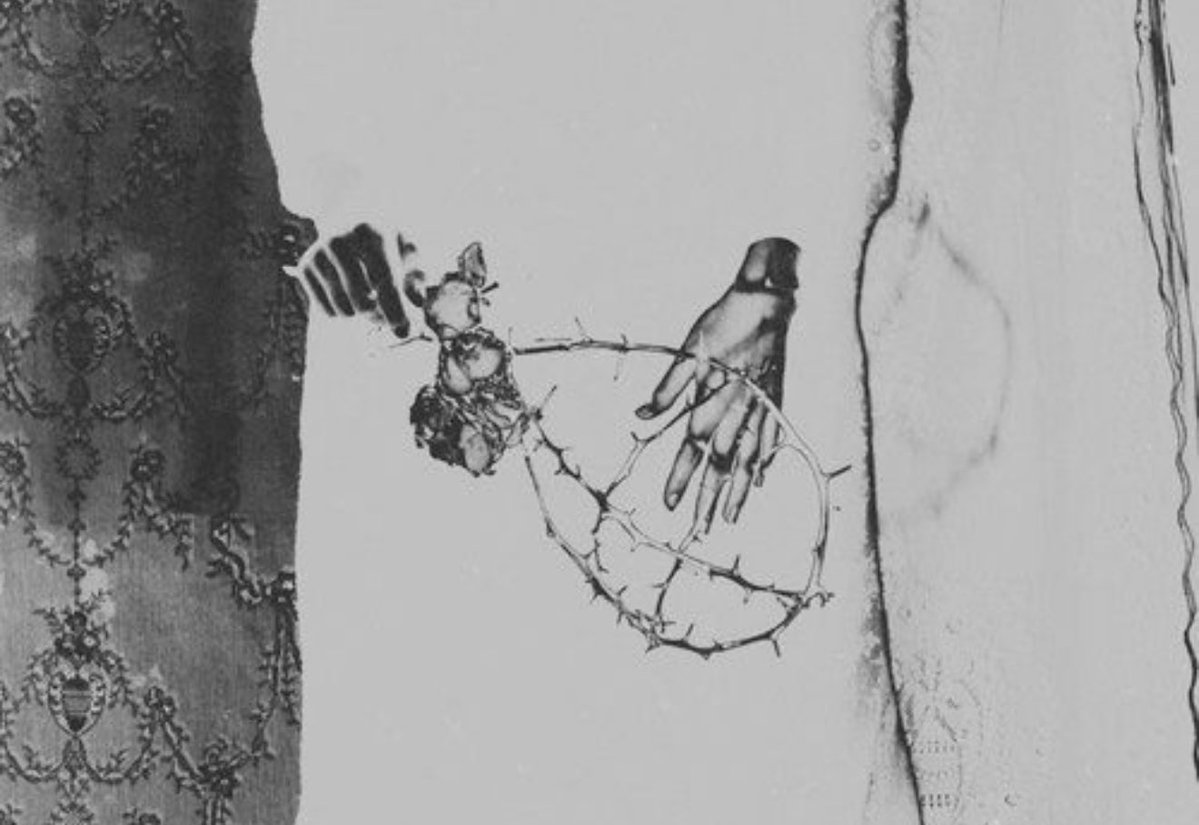 Insignificant in the chaos of existence tweet media