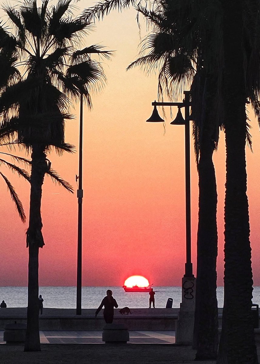 JCGG_1965's tweet image. #BD #Valencia