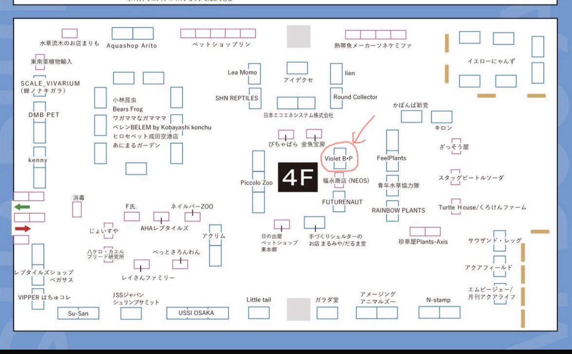 Violet B•P ボールパイソン tweet media