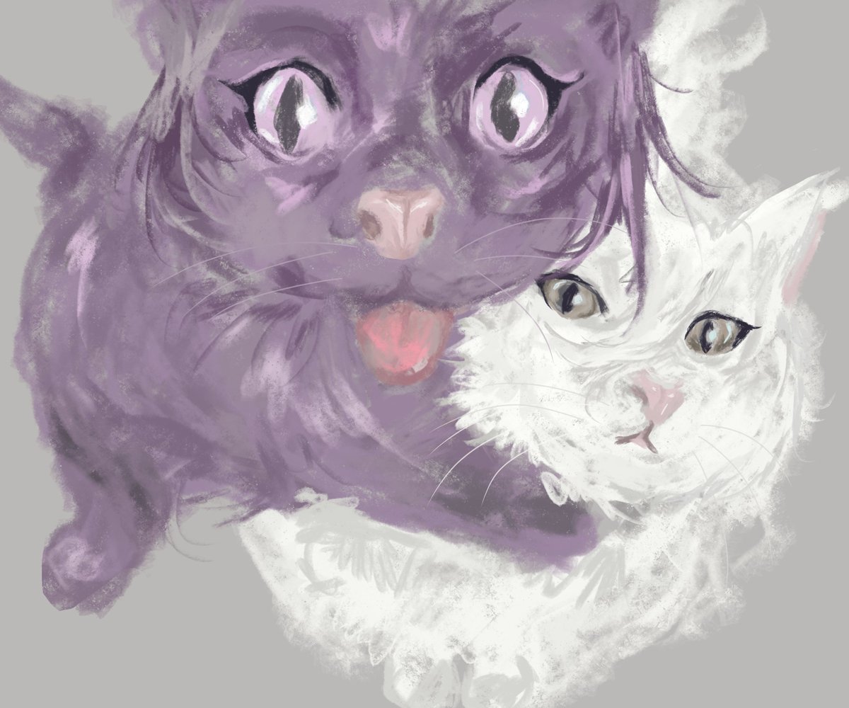 akii ☕ tweet media