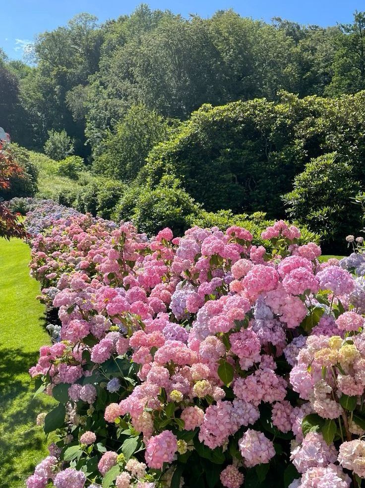 aymann.^᪲᪲᪲ tweet media