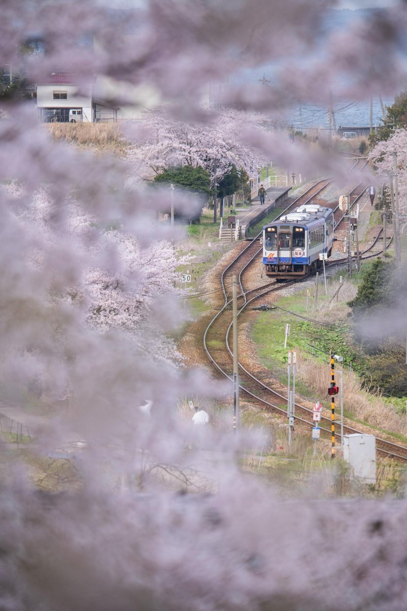 Misia.jp tweet media