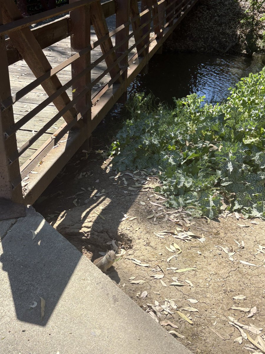 maybe isa tweet media