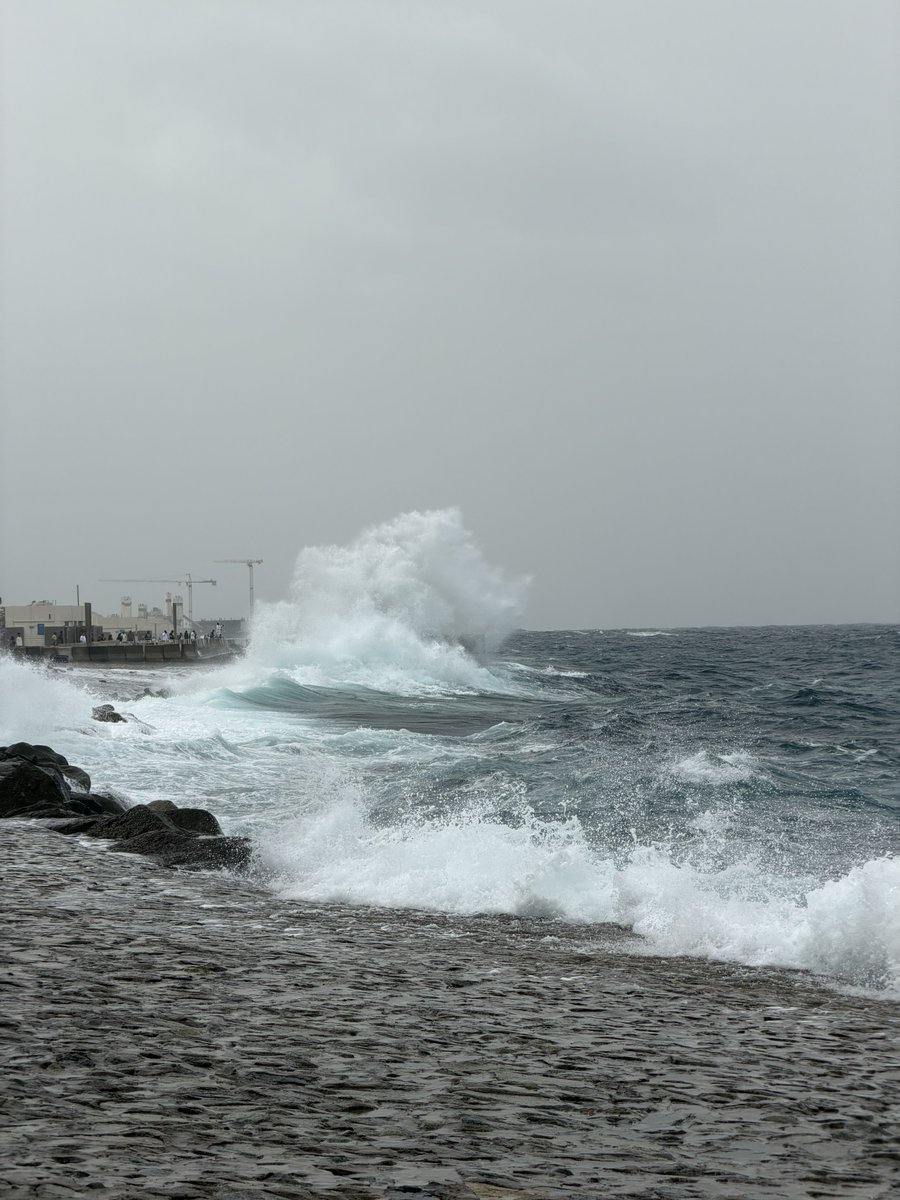 مــاجــد tweet media