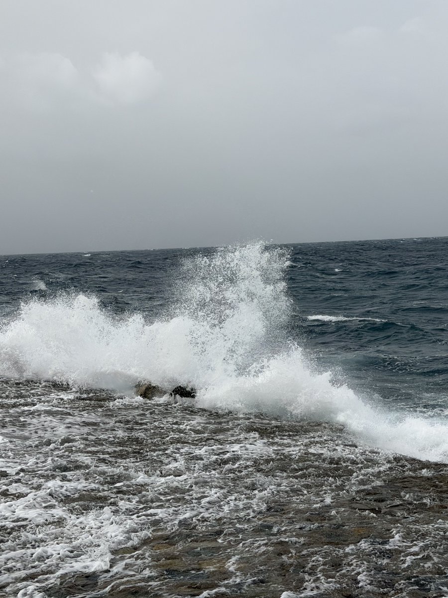 مــاجــد tweet media