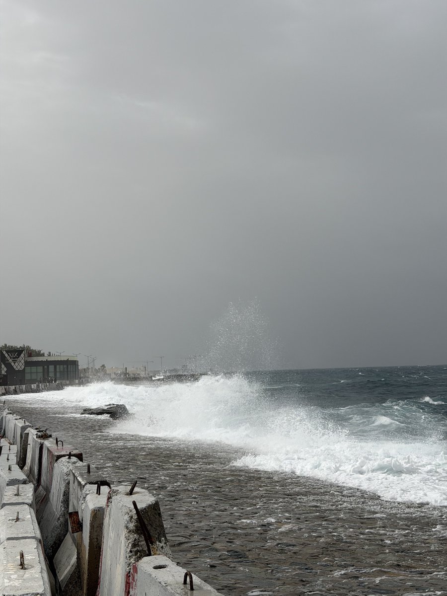 مــاجــد tweet media