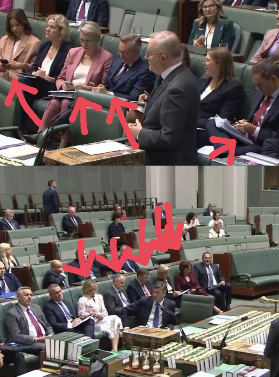 The White Knight tweet media