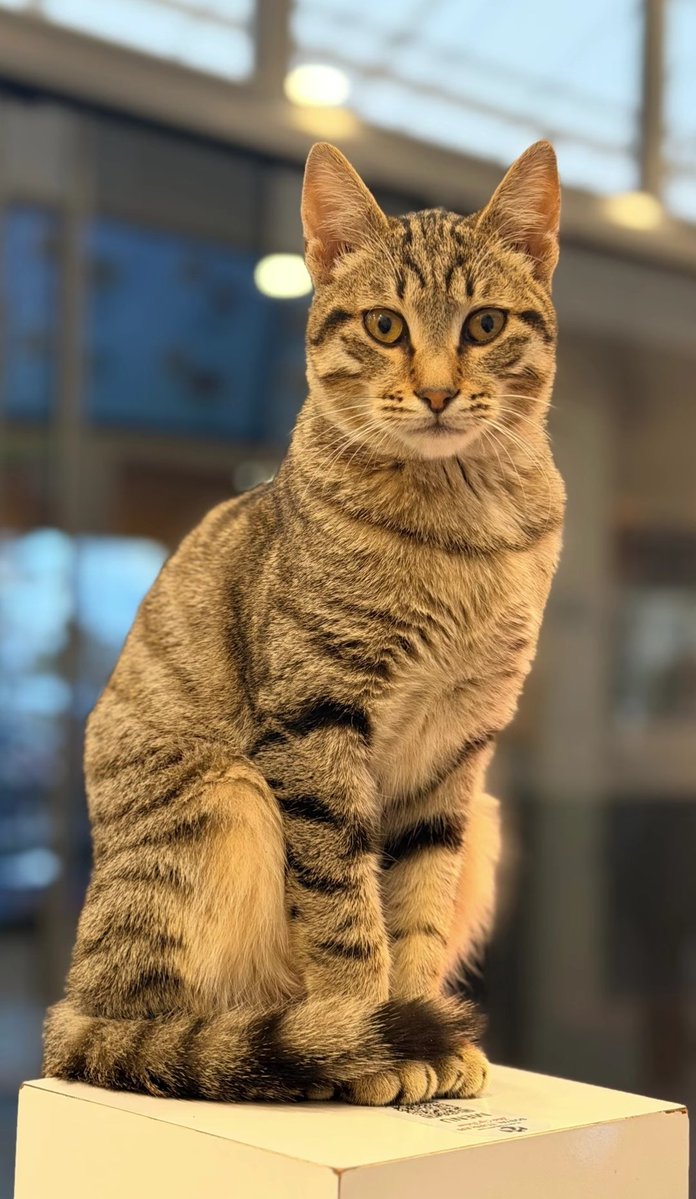 diduse 🧡 Ekrem İmamoğlu'nu Serbest Bırakın tweet media