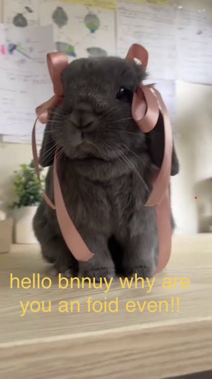 Julie 🏳️⚧️ 🔆 tweet media