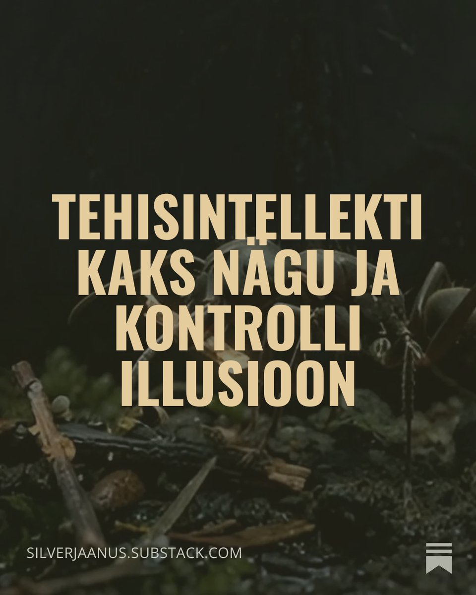 silverjaanus's tweet photo. There's not enough conversations in Estonian about AI, the coming of abundance and how to make it happen, so I started writing about it. Next post in the series is up on my Substack https://t.co/c7ty3ds9Xx https://t.co/EEA5gc7hMc