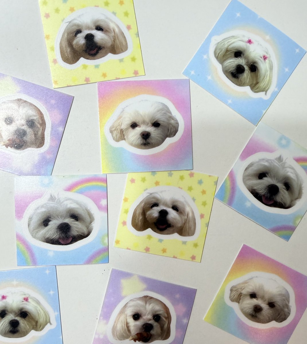 imnotpp ྀིྀི tweet media