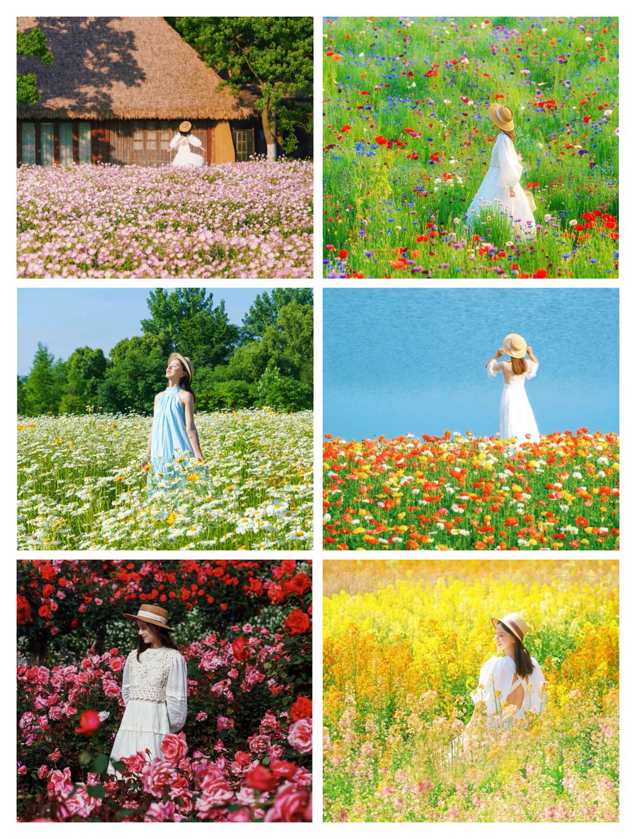 快来快来互fo啦 tweet media