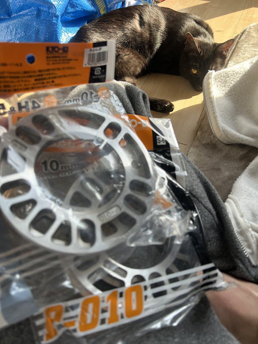 かみゆー🤟😅（公式） tweet media