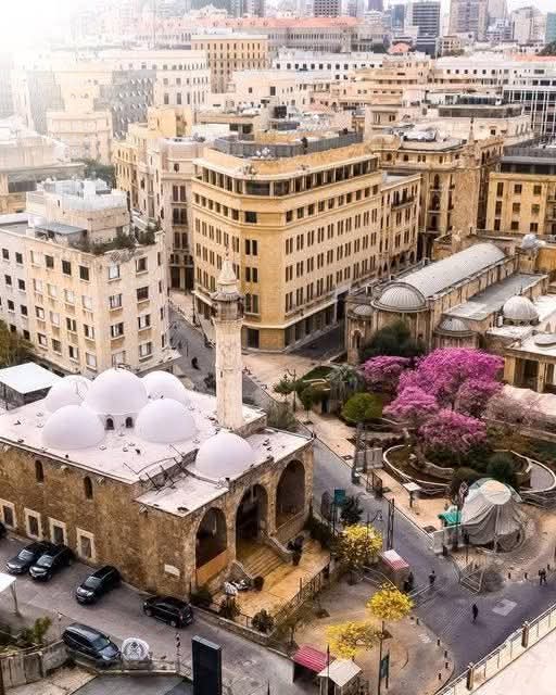 ♡ꪔ̤̮ ~maya tweet media