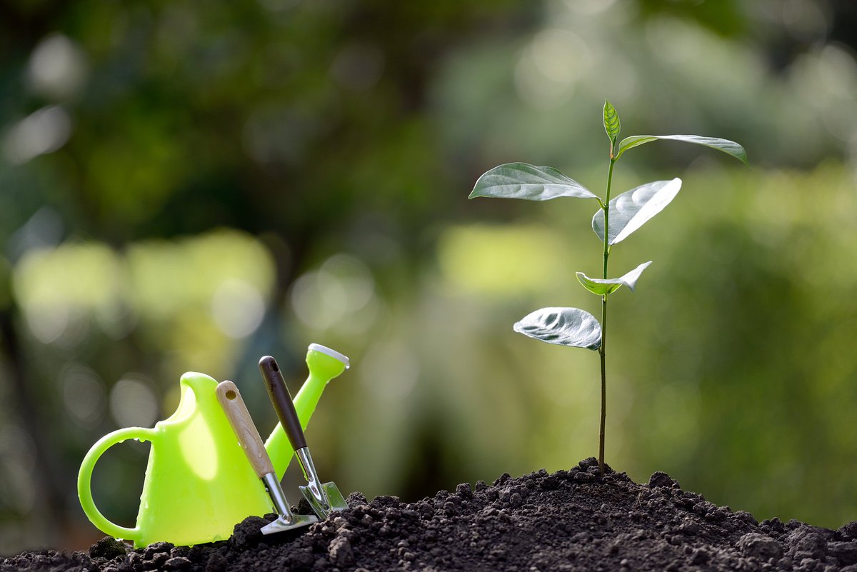 Галкин Игорь tweet media