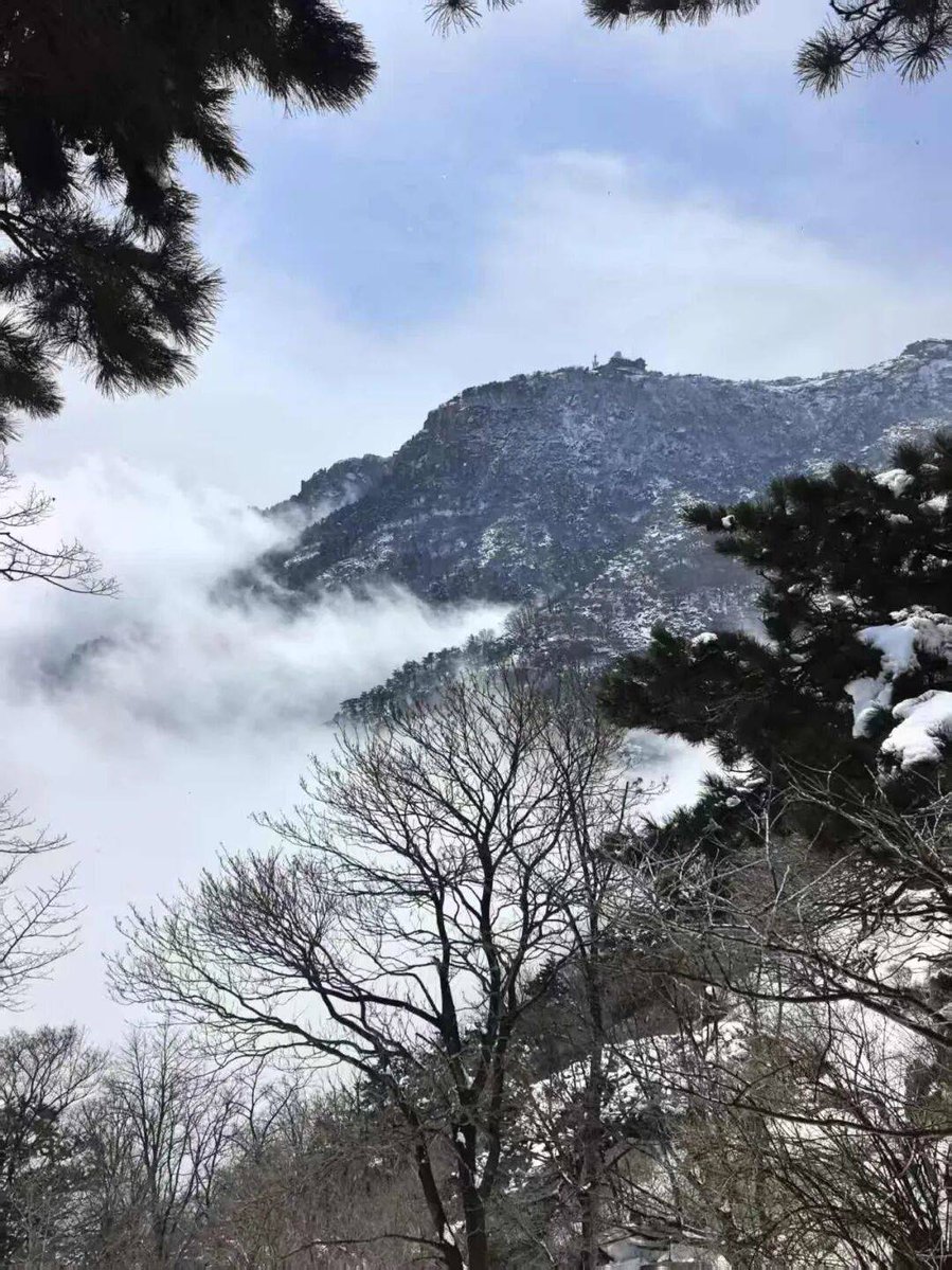 victor crane tweet media