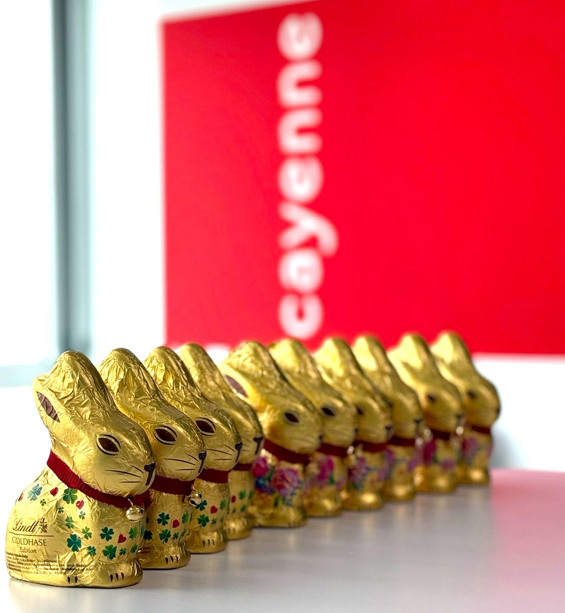 cayenne_at's tweet photo. Da sich mit heute unser Agenturteam aufgrund der kommenden Karwoche urlaubsbedingt etwas "ausdünnen" wird, gab es bereits heute eine "Osterhasenparade" mit einem Schokohasen🐰für jeden ... 
Schon heute: Frohe und gesegnete Ostern!
#ostern2026 #osterhase #froheostern https://t.co/lPTs6lIHvZ
