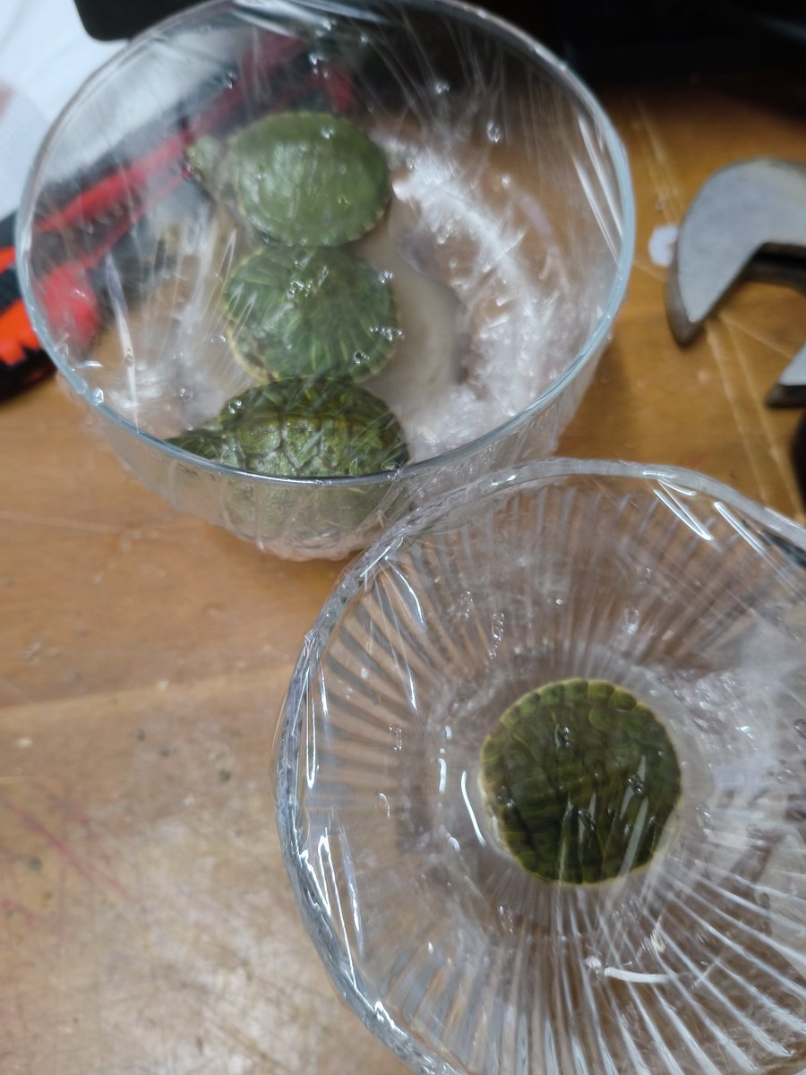 ねね❖保護猫暮らし FF14🔪ドラ10 tweet media