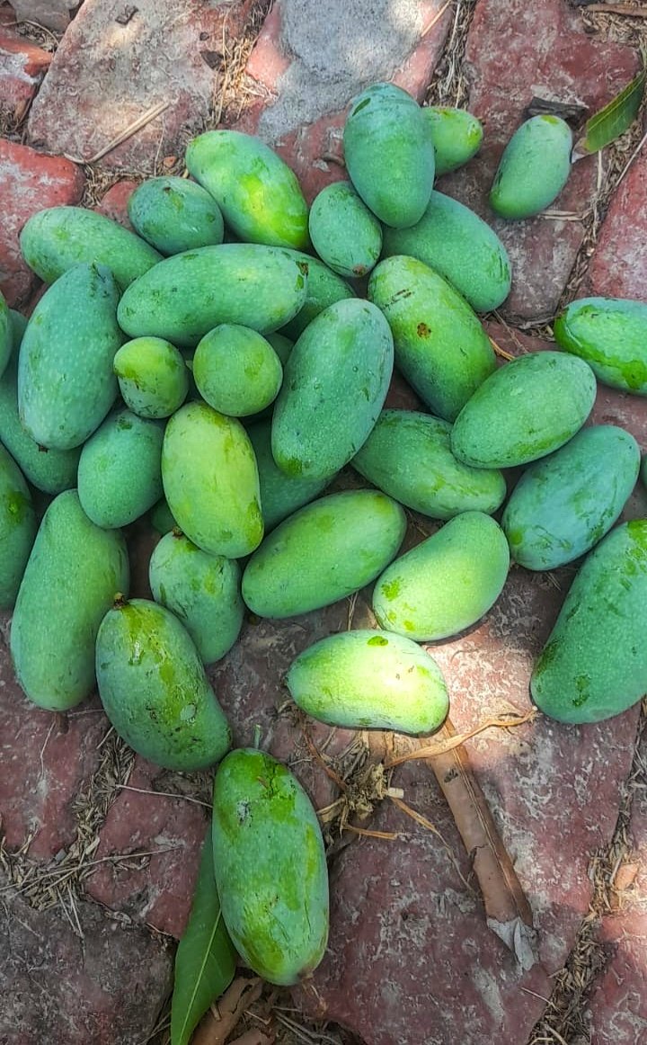 Pallavi Tiwari 🦋 tweet media