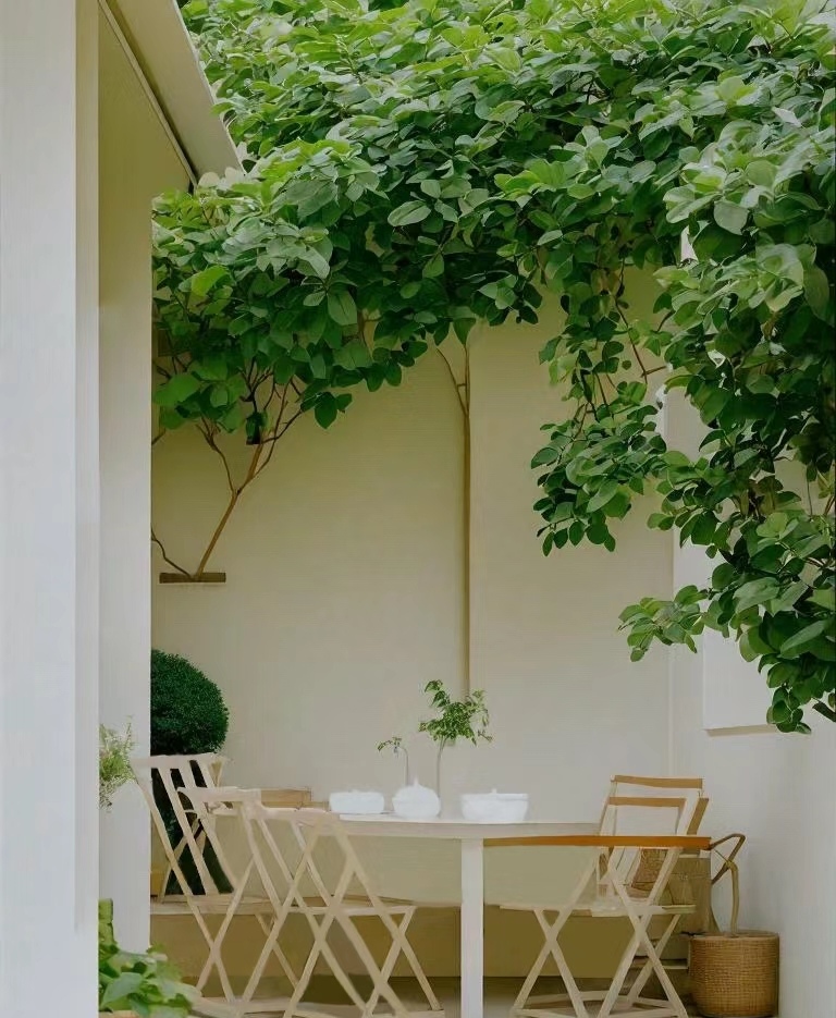 Reginald tweet media