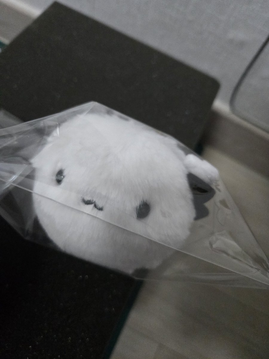 Usabo ⛩️ tweet media