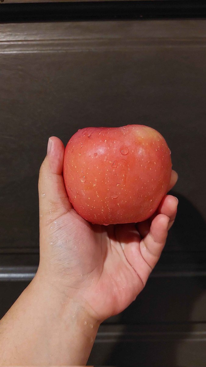 gwen ellis bell tweet media