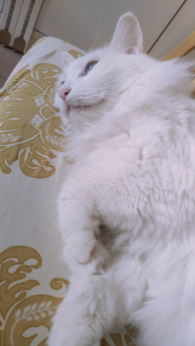 Ethan Tanner tweet media