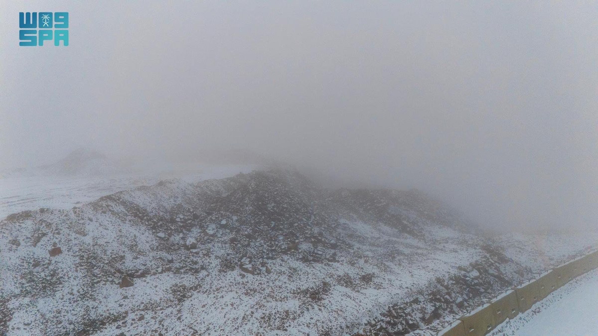 العربية السعودية tweet media