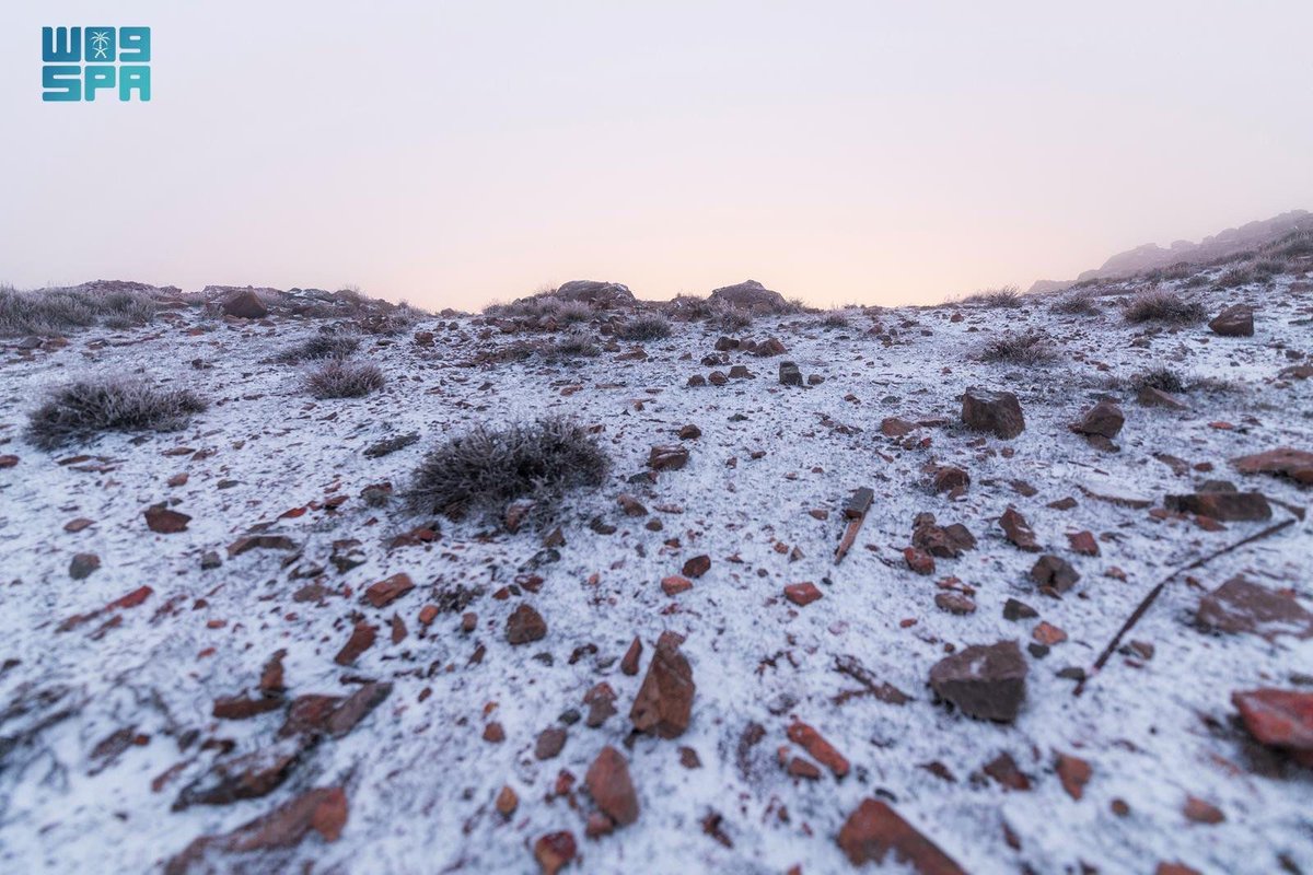 العربية السعودية tweet media