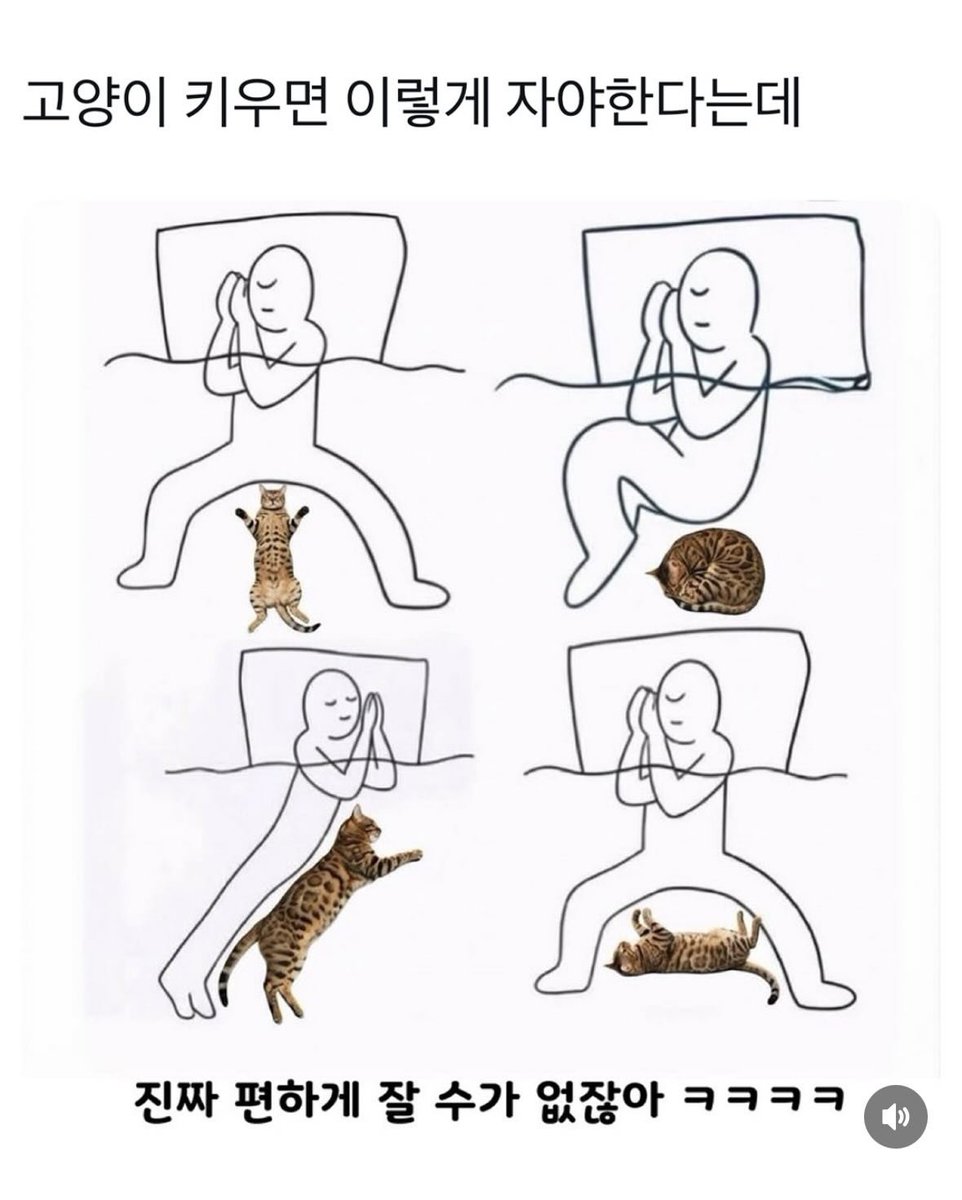 갓생 아카이브 tweet media