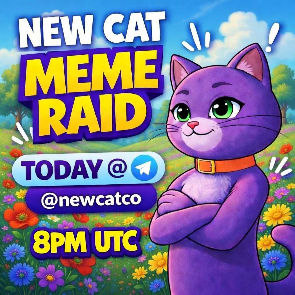 New Cat tweet media