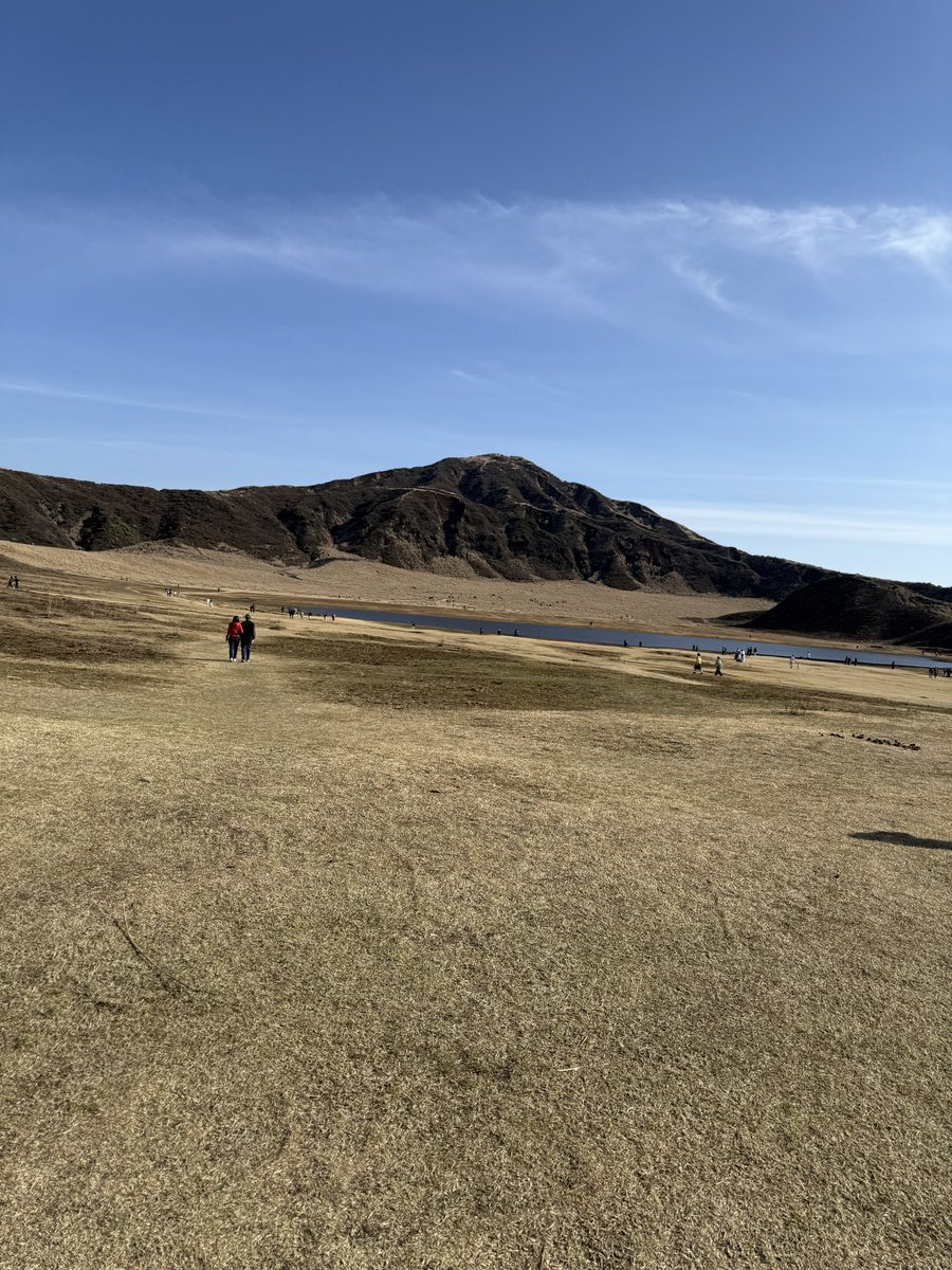 らいだおです tweet media