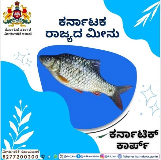 Dept of Fisheries, Karnataka tweet media