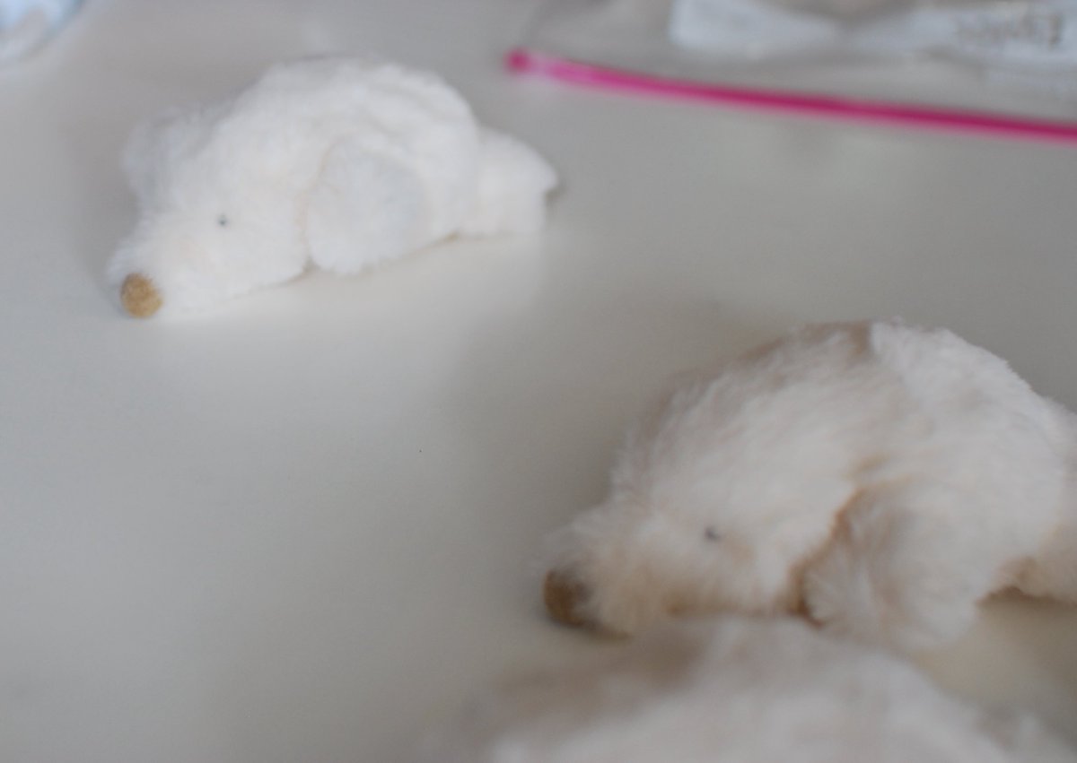 カネヒラ tweet media