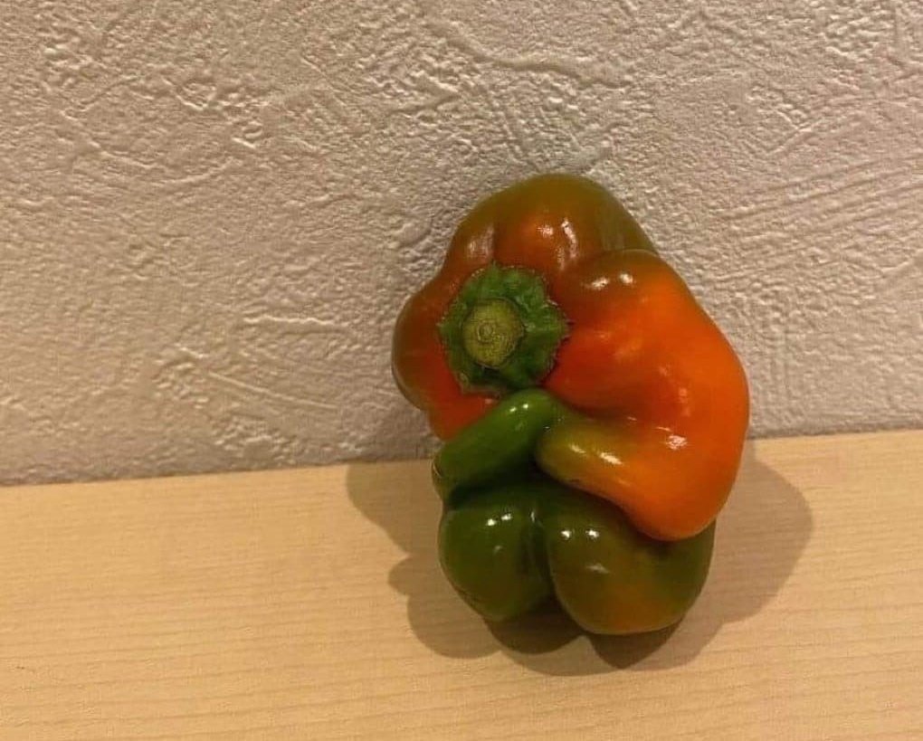 Пингвински tweet media